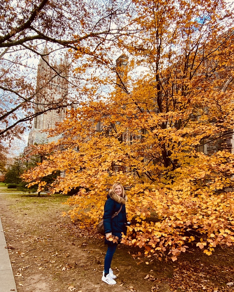 A blazing copper beech beside the chapel tower