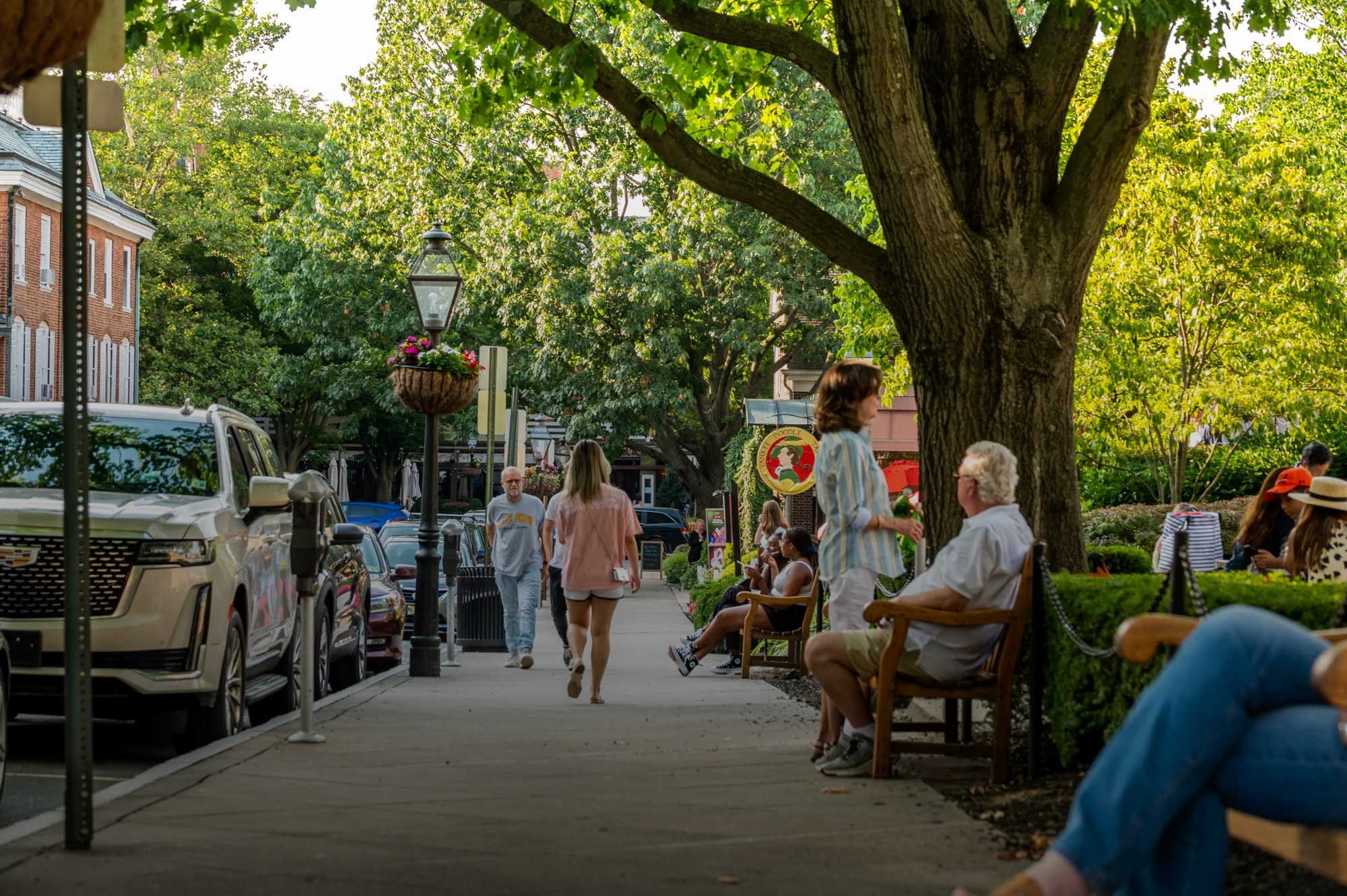 People walking a tree-shaded street in the centre of Princeton