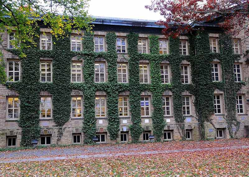 An ivy-covered stone facade with fallen autumn leaves