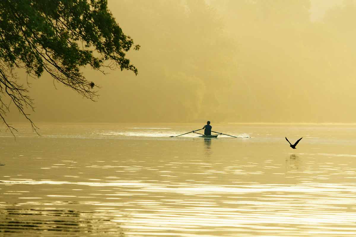 A single sculler on Lake Carnegie in golden morning mist