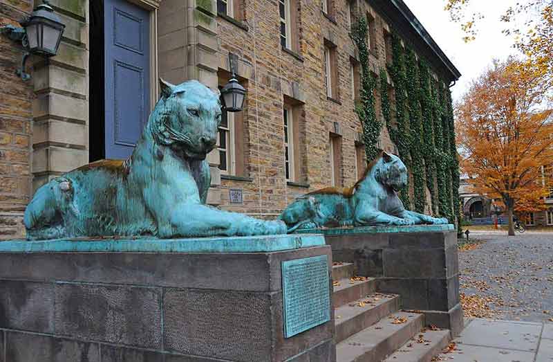 The bronze Princeton tigers on the steps of Nassau Hall